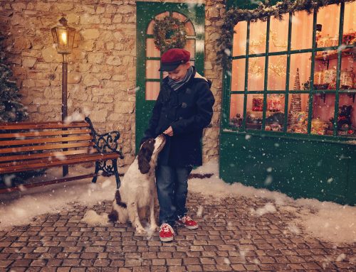 Christmas Photo Sessions in Cornwall with AnA Photography